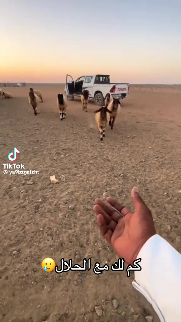 @mohamed_ksa0