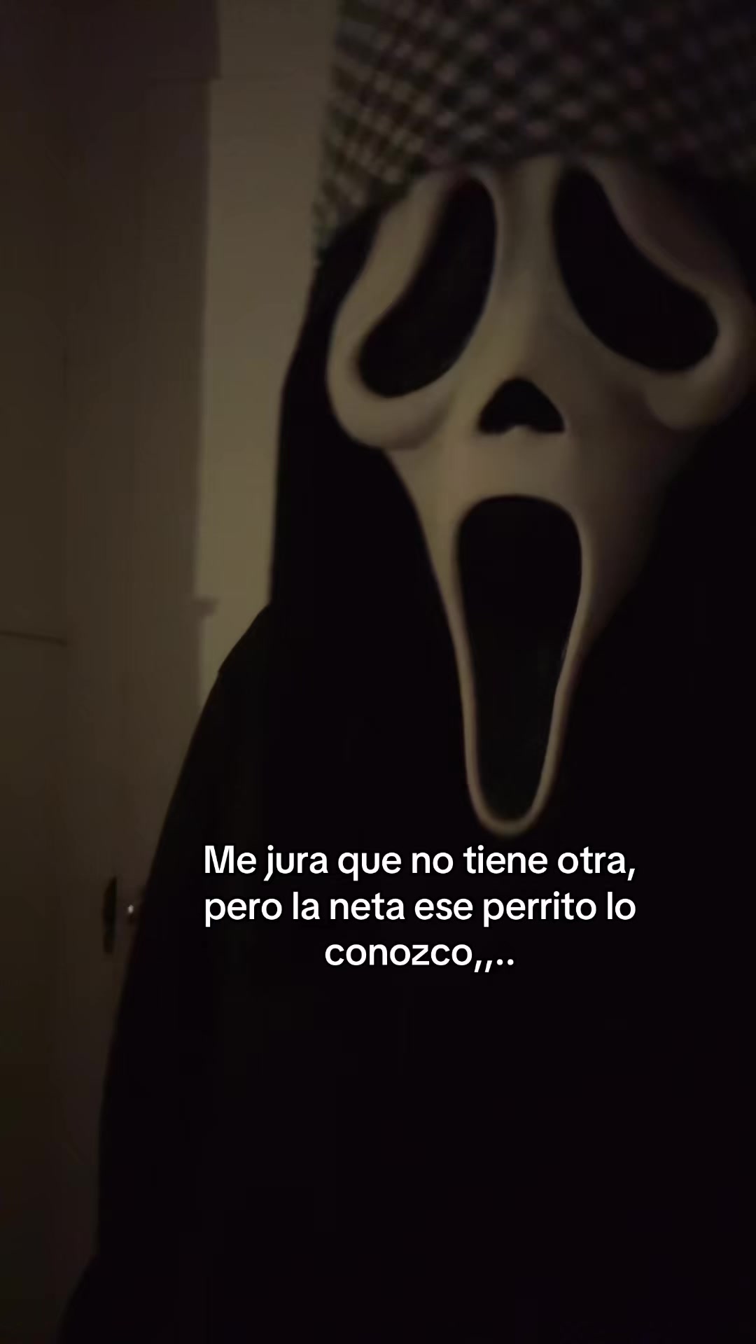 @GhostLoco 👻🤪