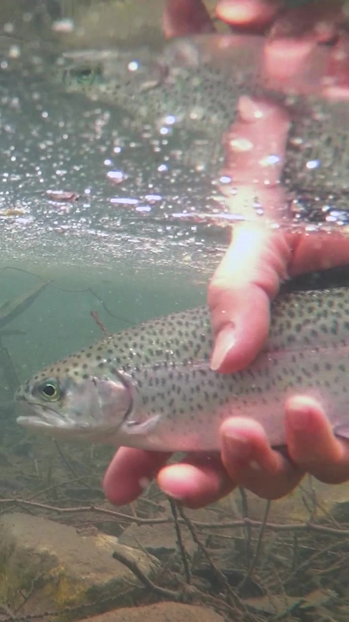 @Fishing with Rod