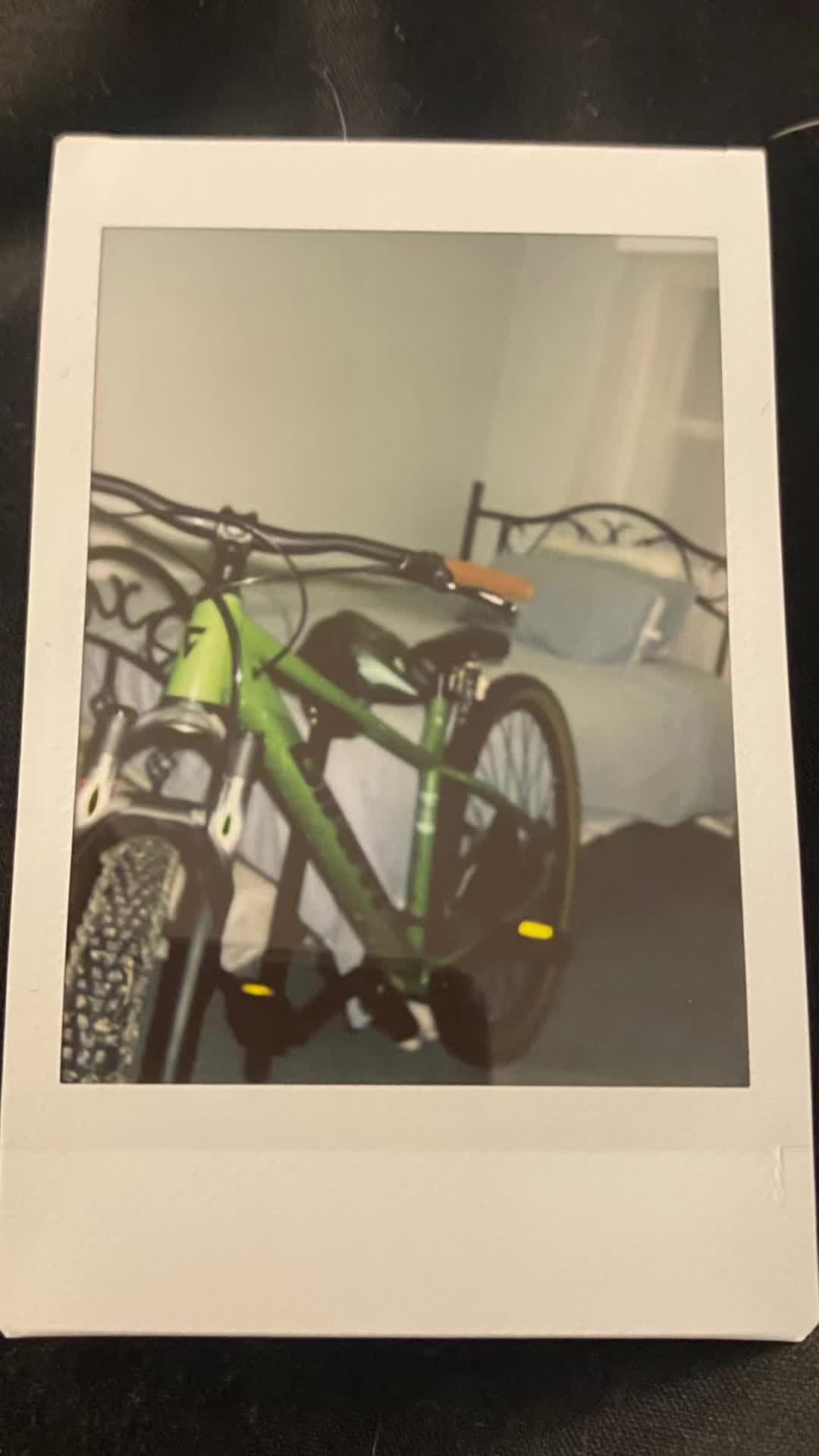 @soggy_bread&rsquo;s 🥑