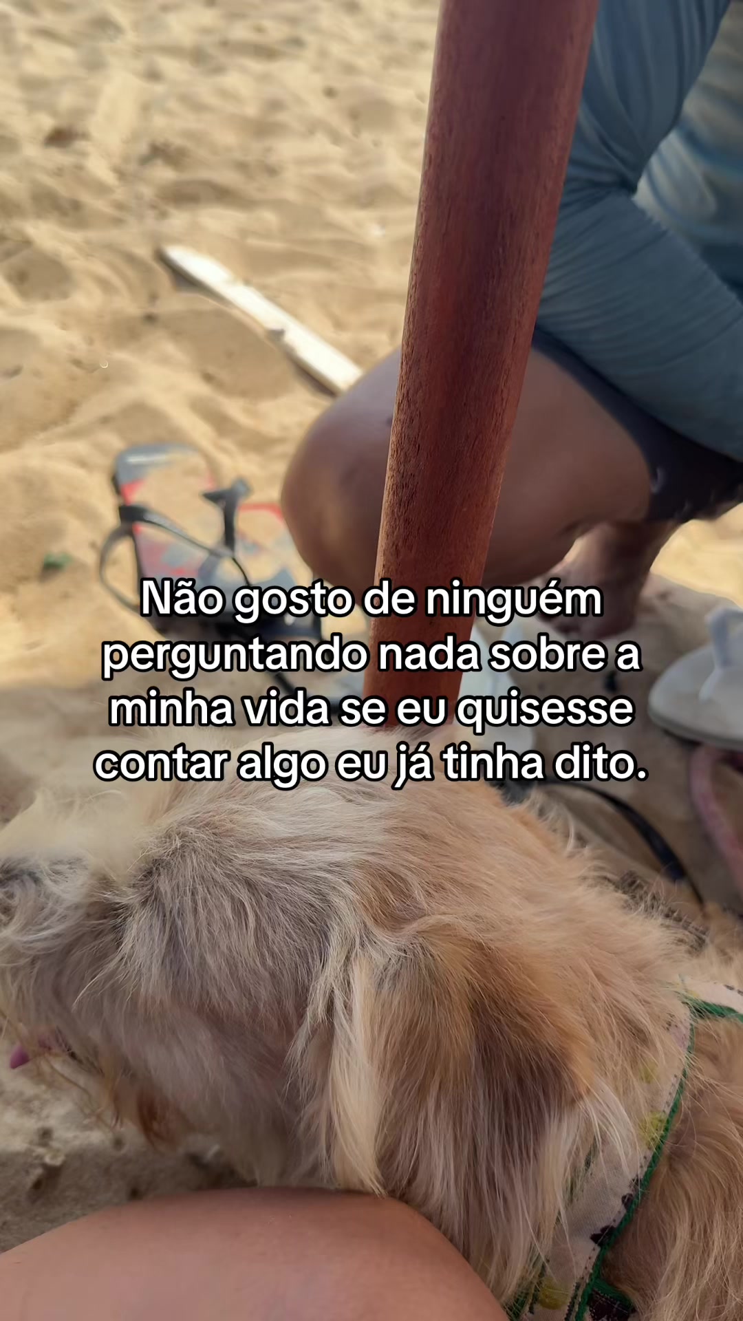 @deivysonfhelipy
