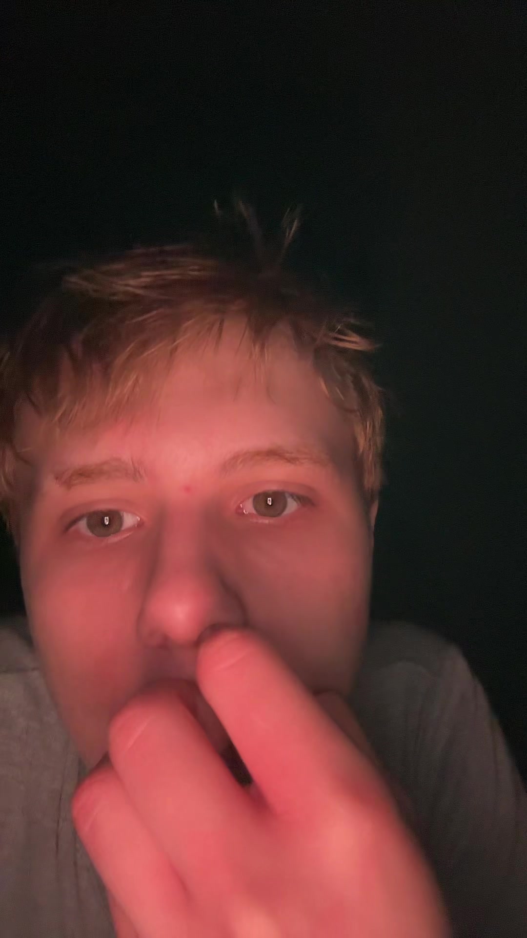 @ведмідь