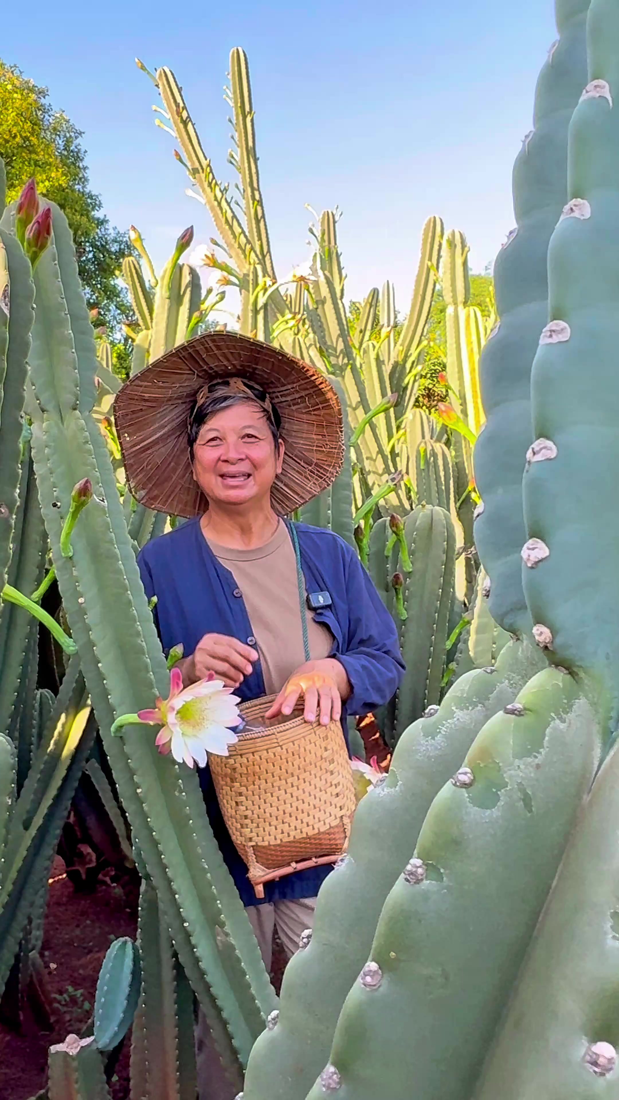 @ไร่วันยังขำ Oneyoungkham farm