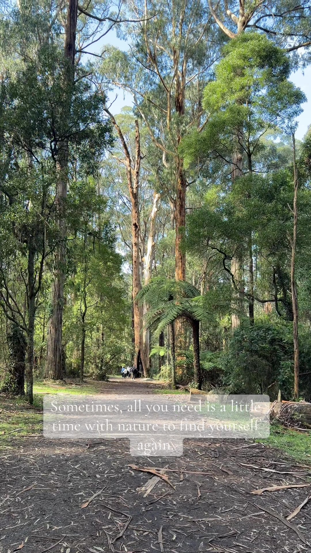 @AussieMoments 🇦🇺