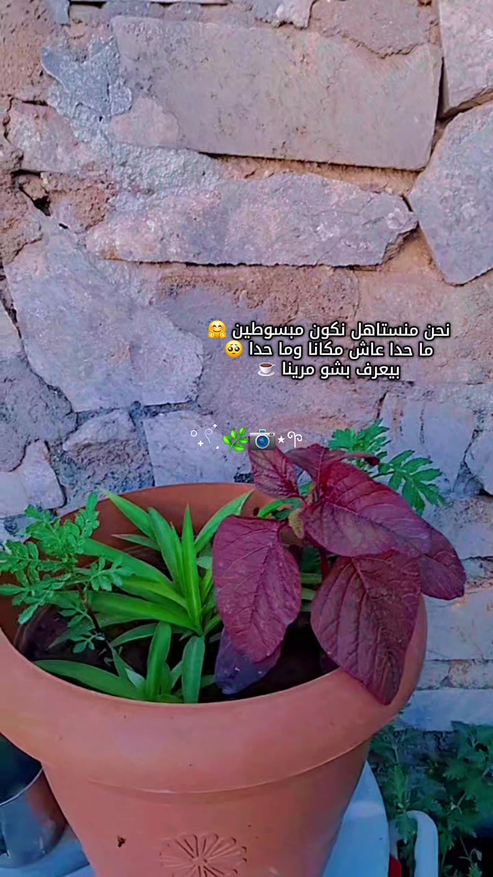 @Ruweyda🌼
