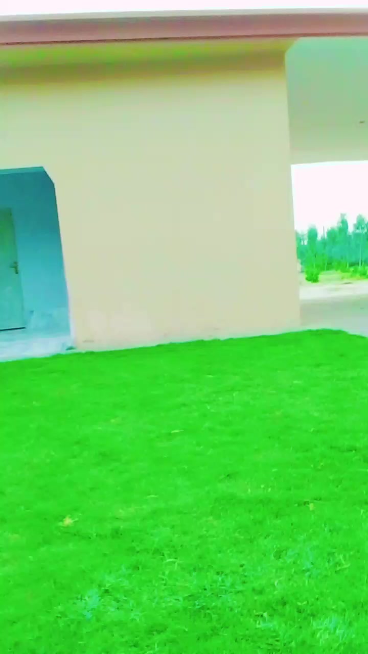 @jani oy