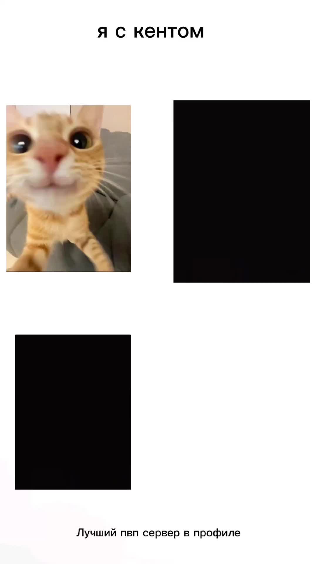 @hynterexe