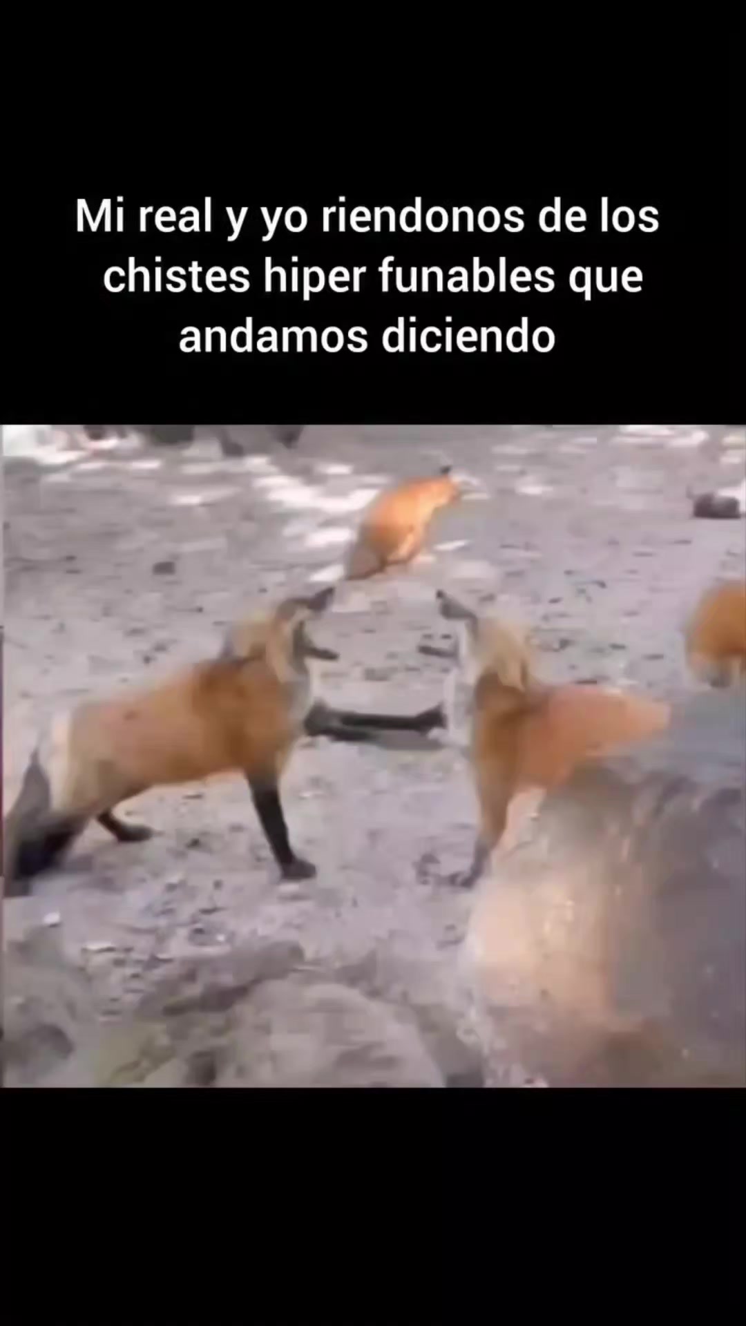 @Memes Deapeso
