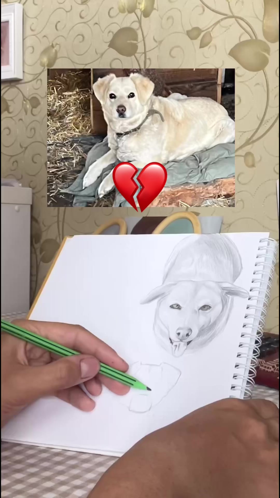 @Lolyamolya~Lapka