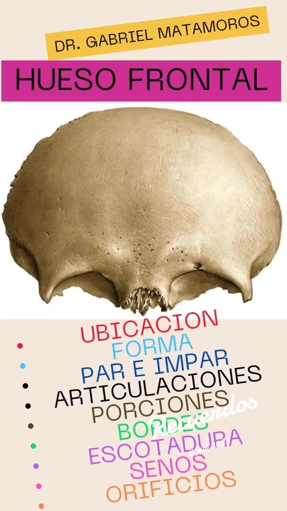 @gabrielmatamoros
