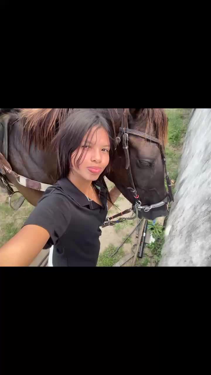 @leh