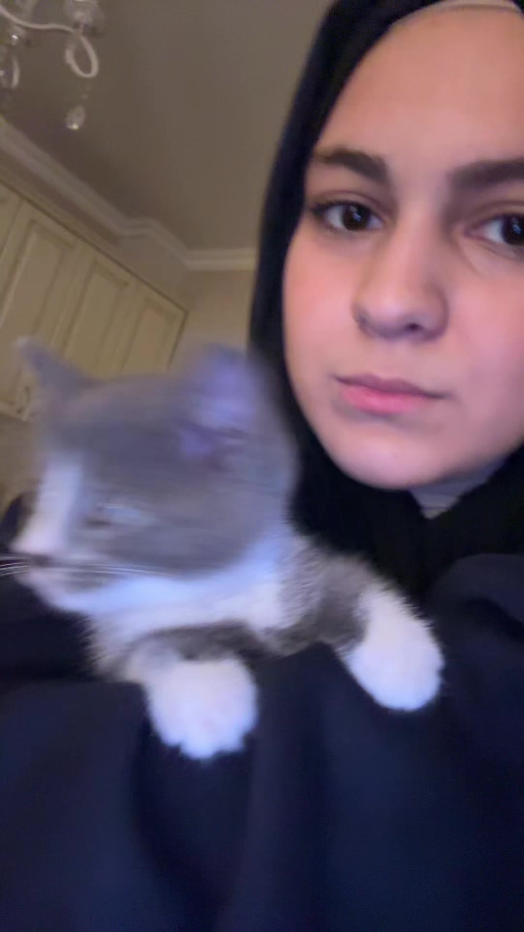 @sixsevik