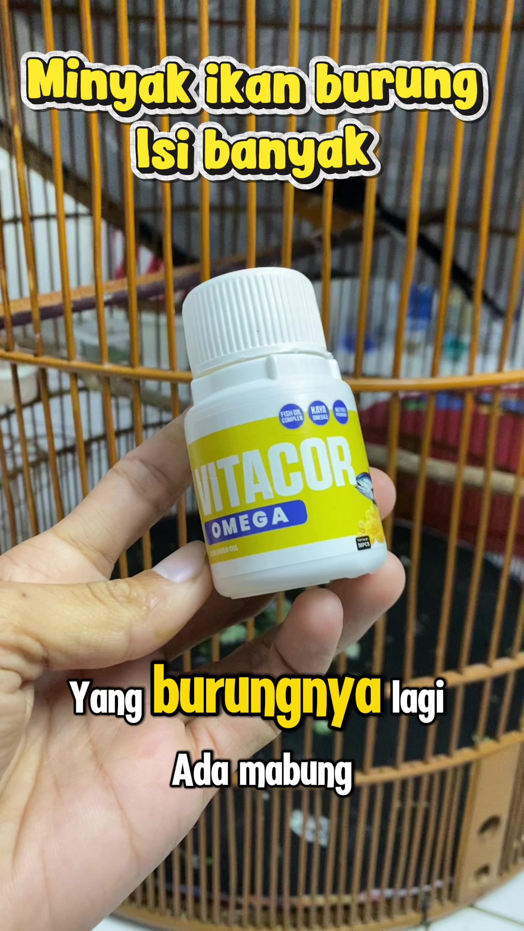 @kicau mart