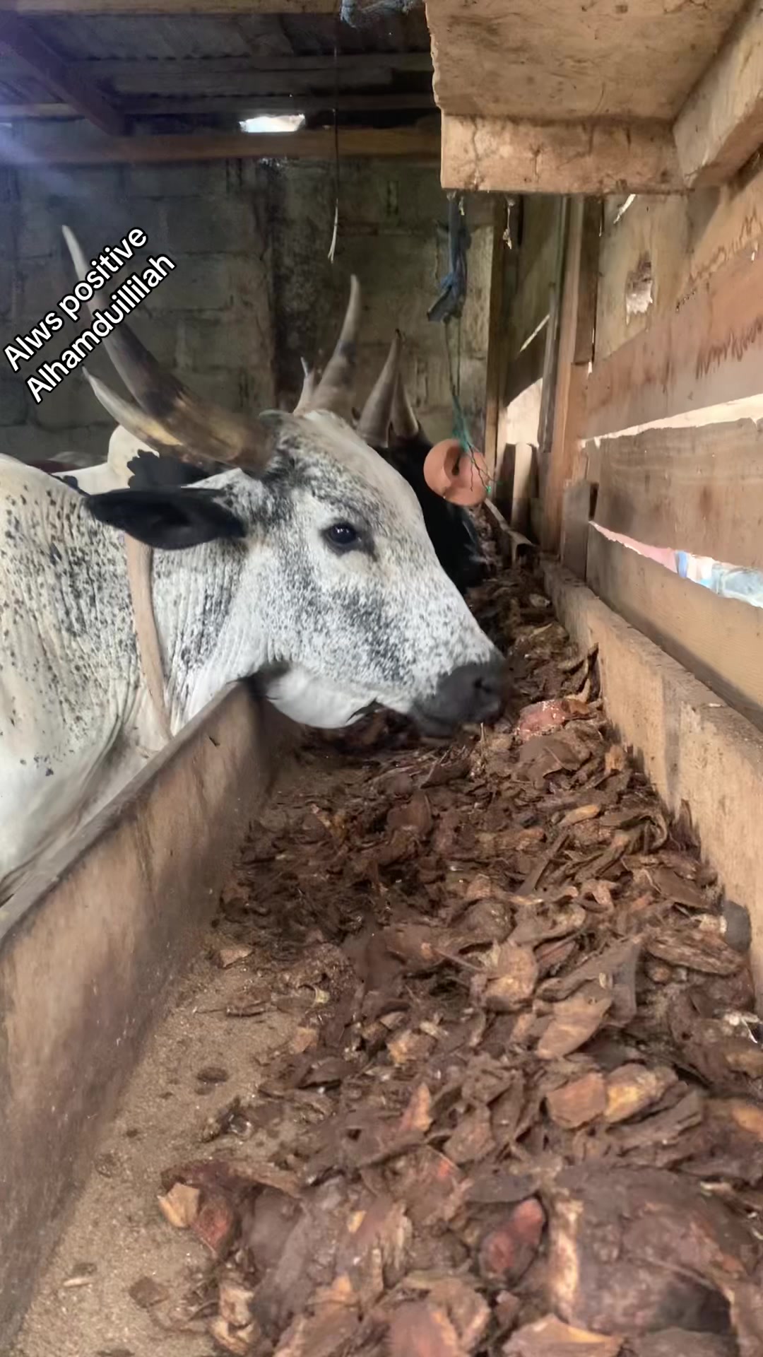 @Sniper farm44