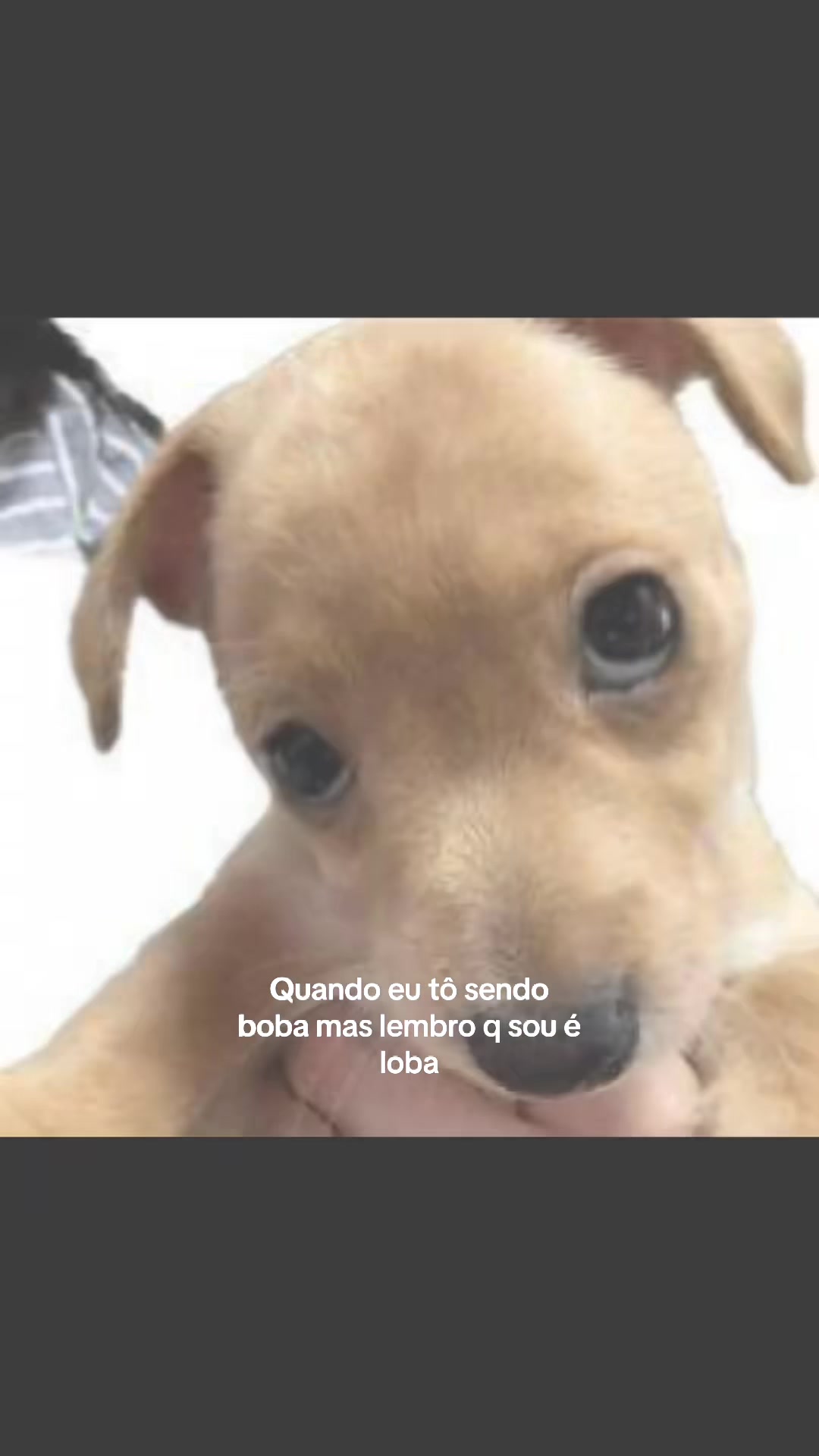@tata