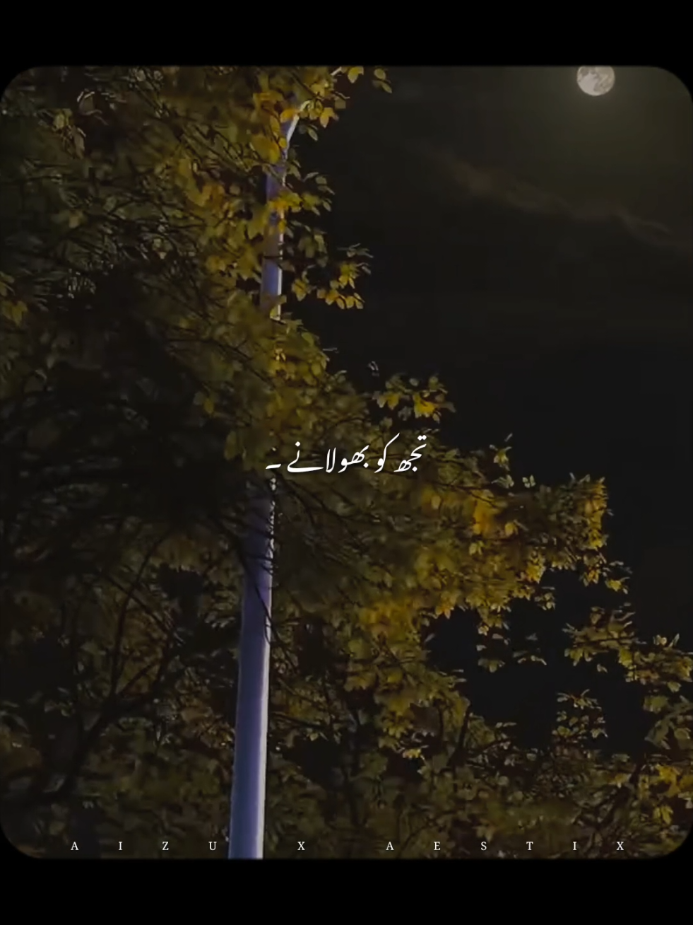 @𝘼 𝙄 𝙕 𝘼 𝙕 &bull; 🐼🍁