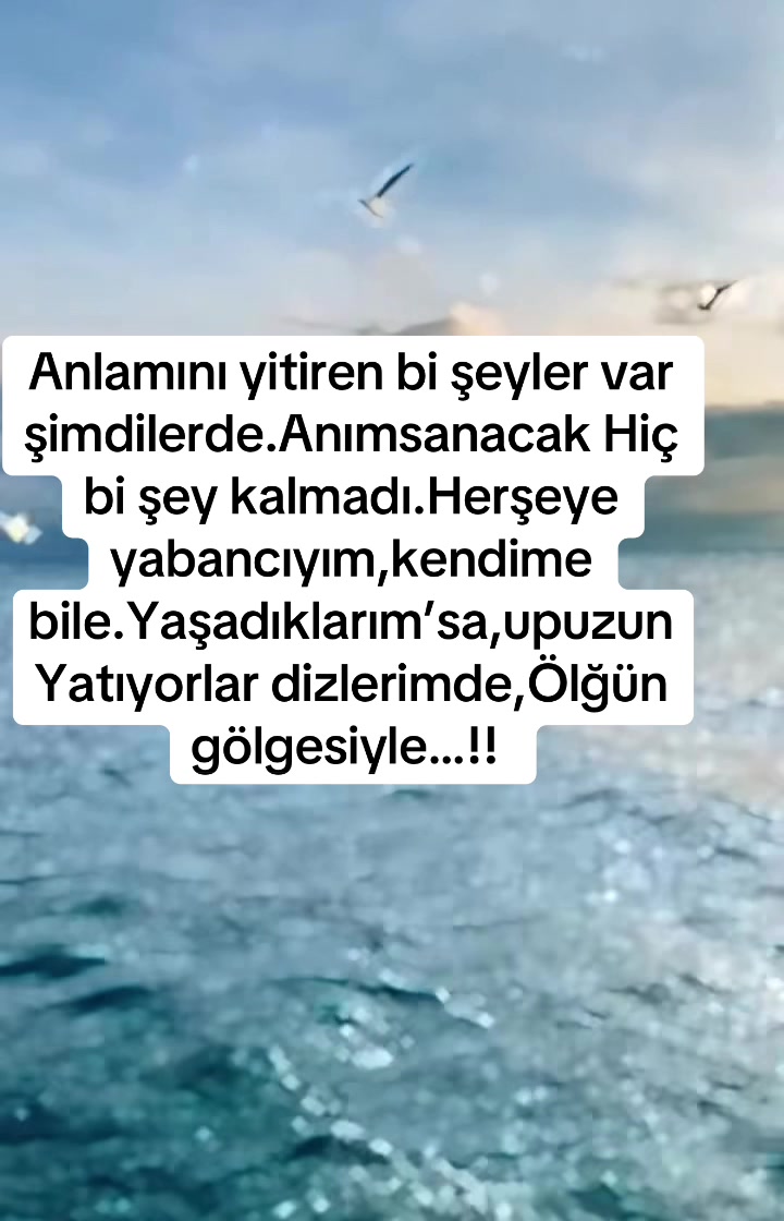 @Buzbeyi