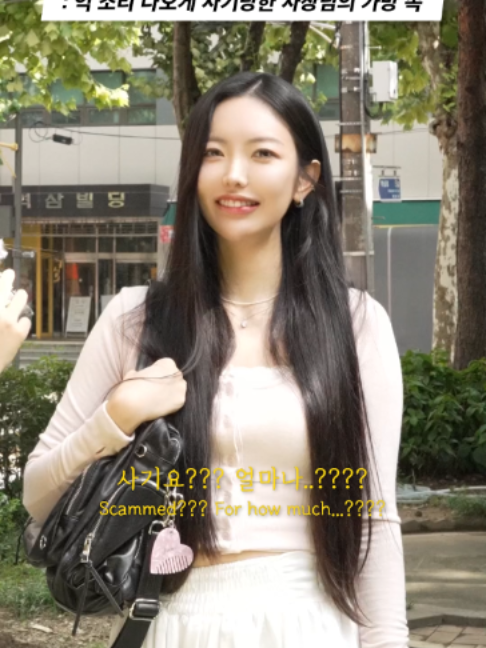 @하우머치 코리아 (HOWMUCH KOREA)