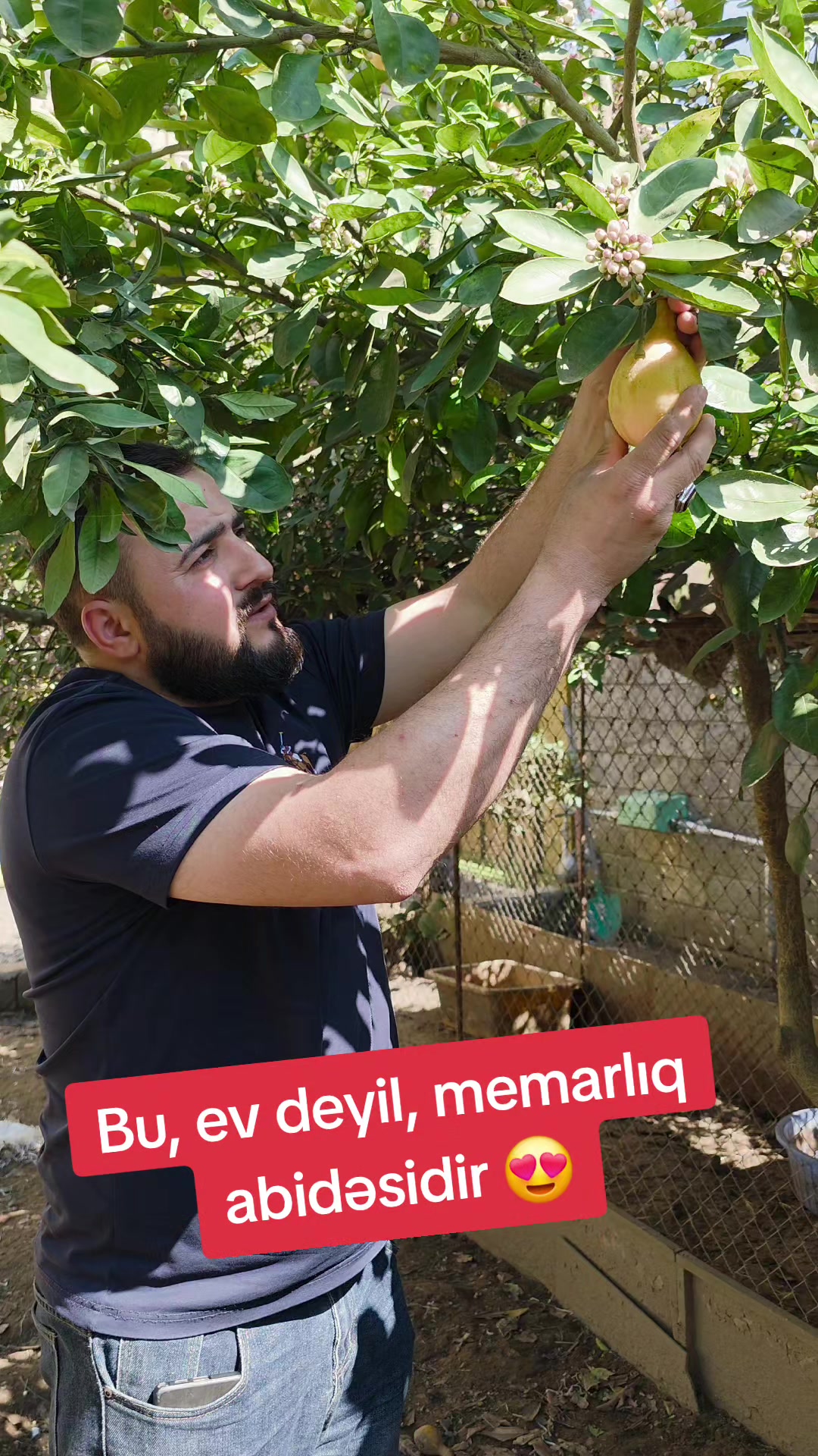 @pervin_caferi