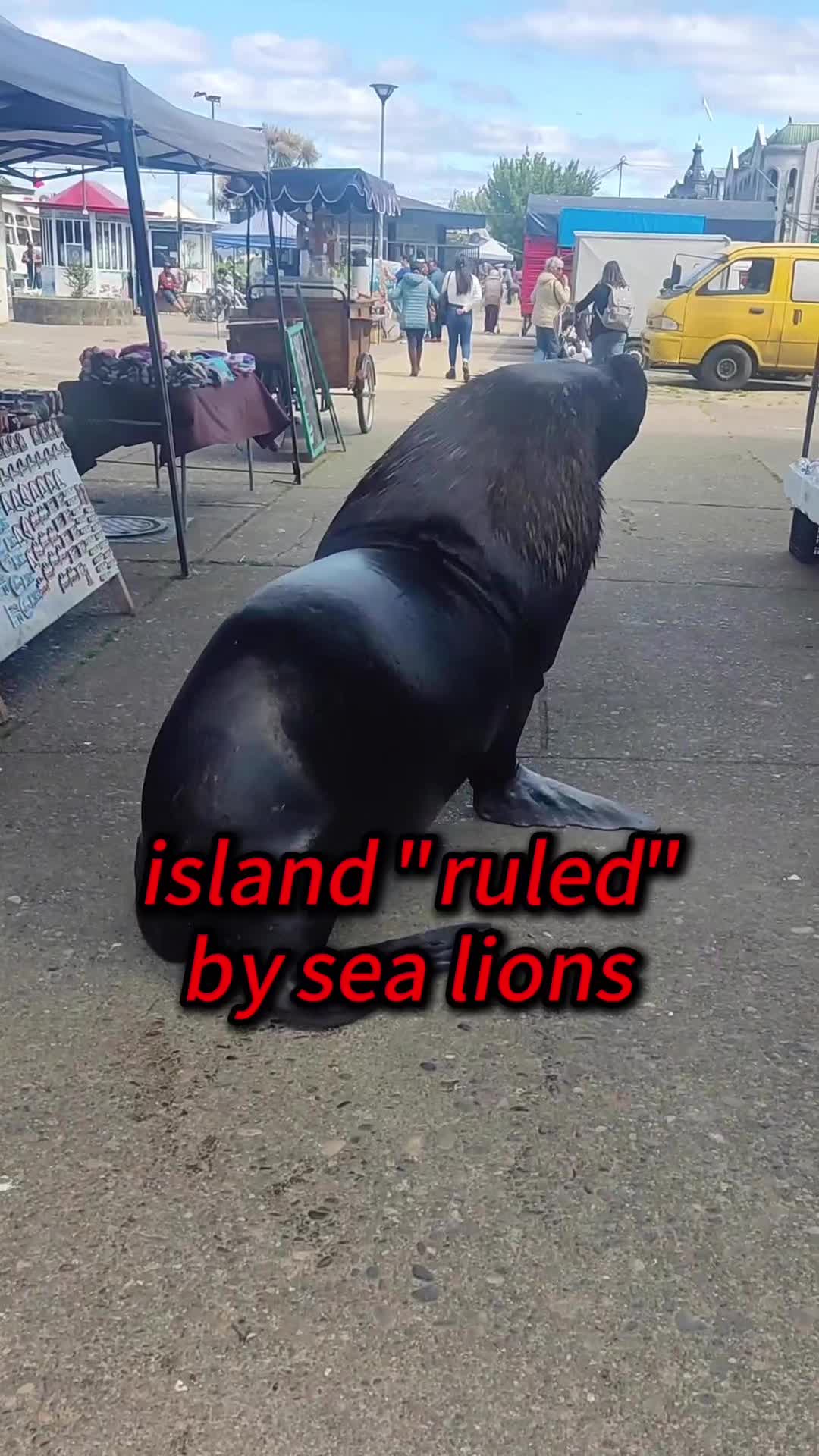 @Kiki_animals22