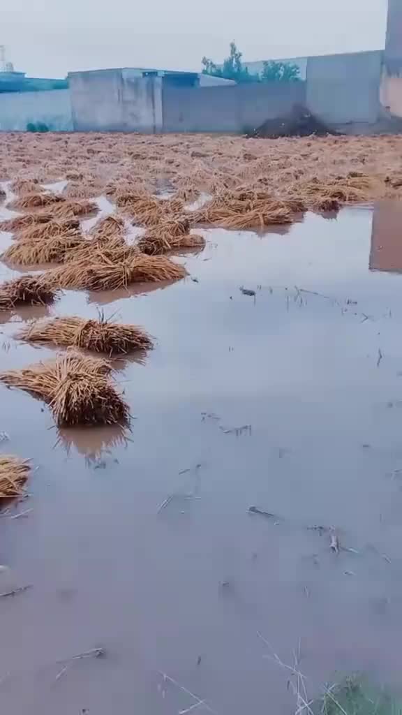@drferoozshah