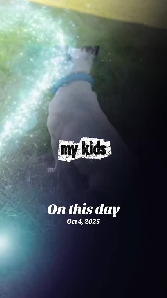 @my_reality_is