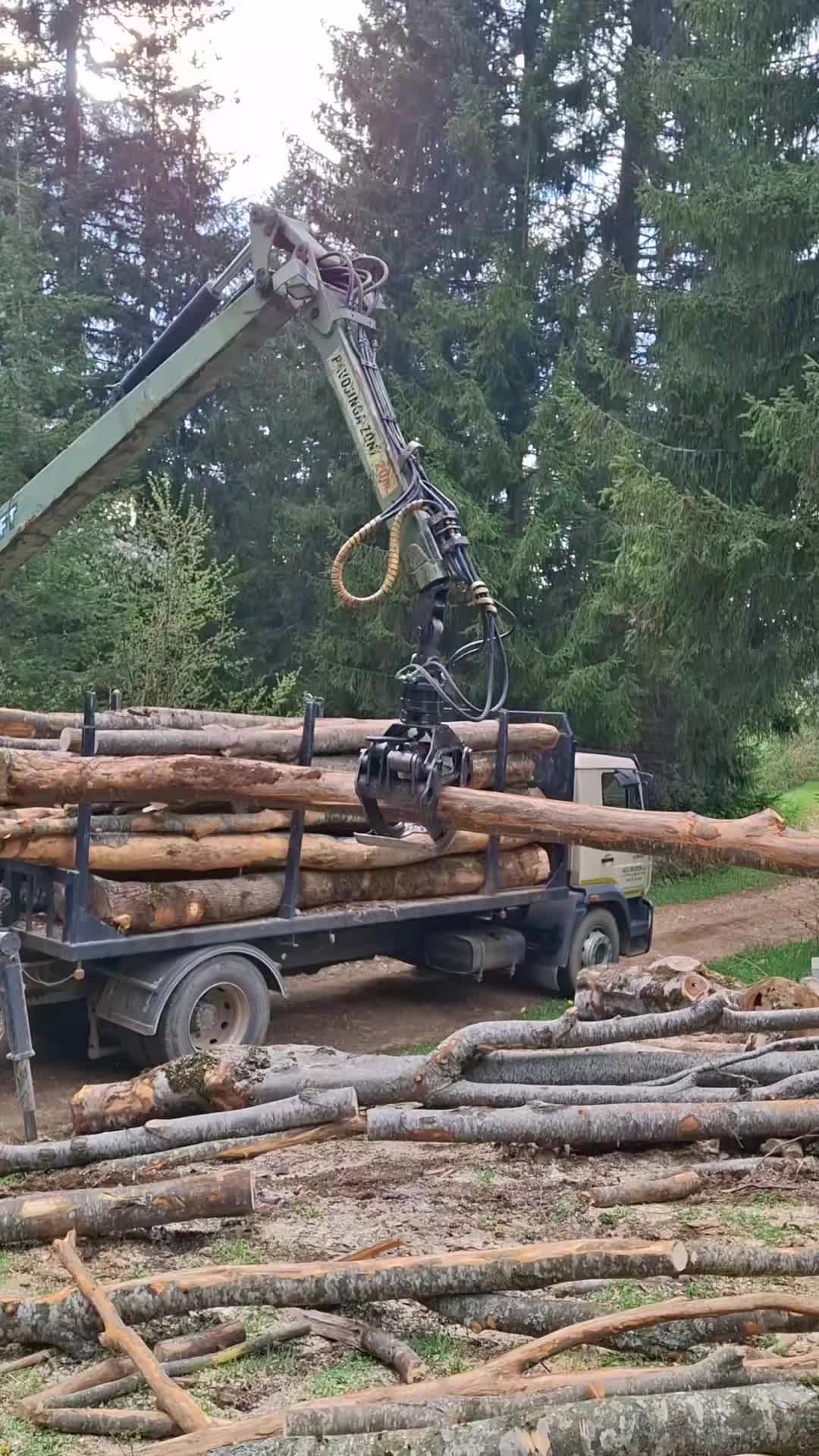 @🌲VRANIĆ🌲