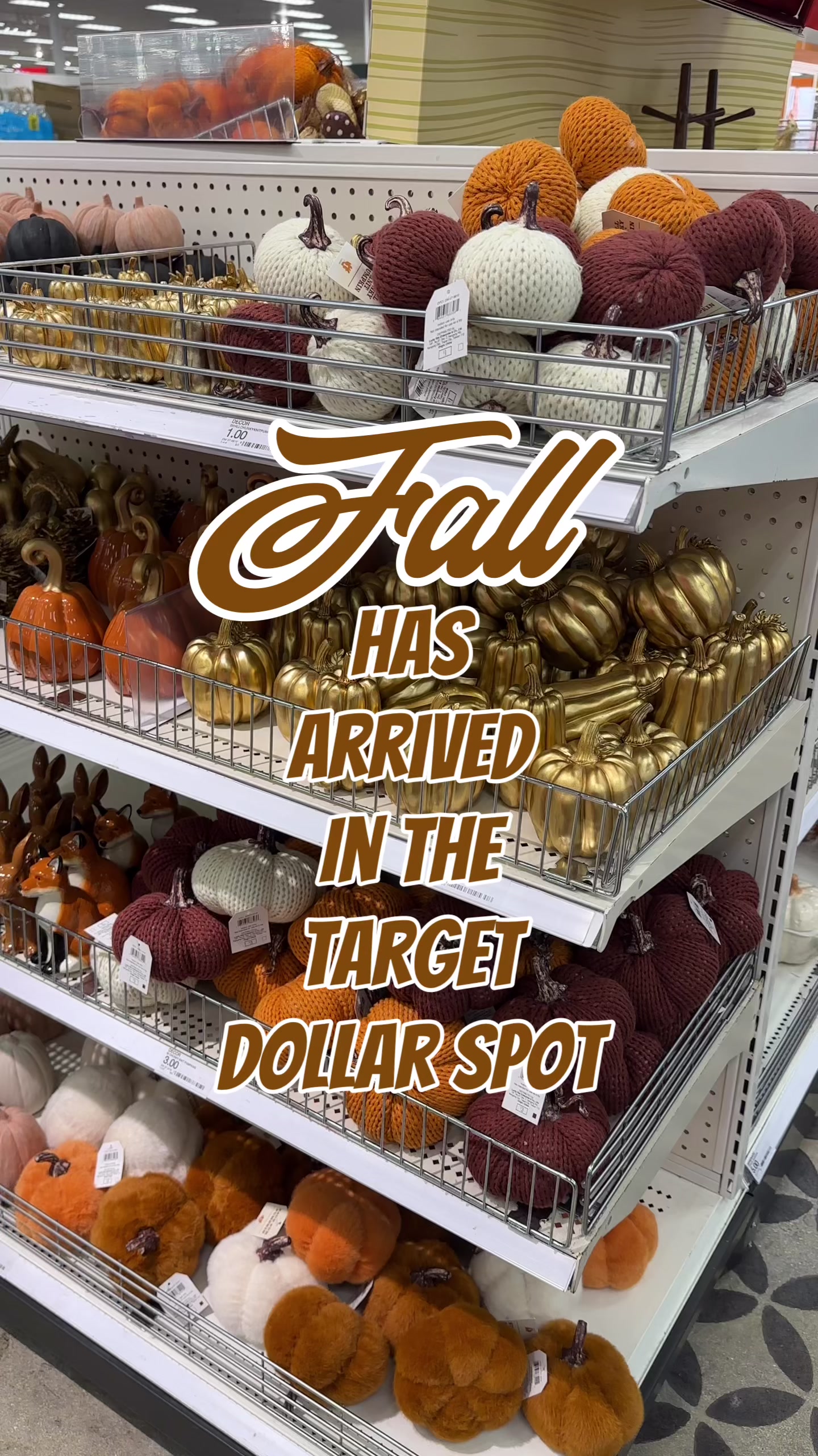 @The Pursuit Shop
