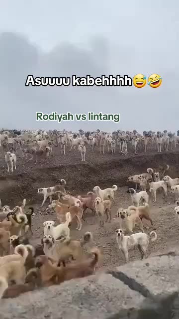 @sayank_cant