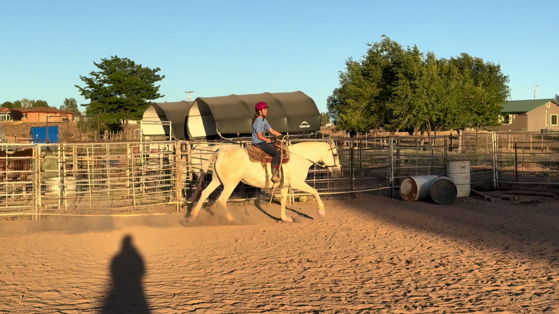 @King’s Riding Club