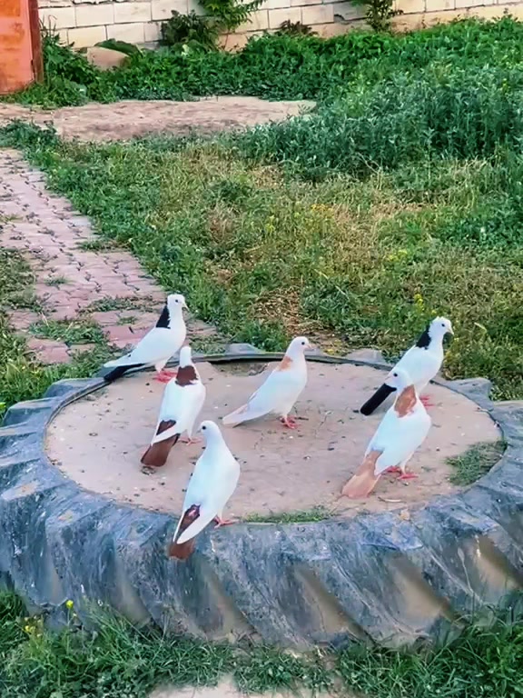 @Özkan Ulurak