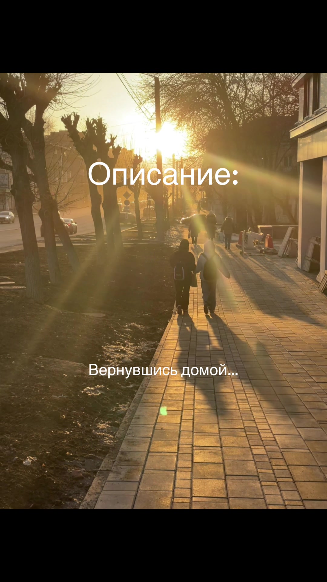 @litvinenko_live