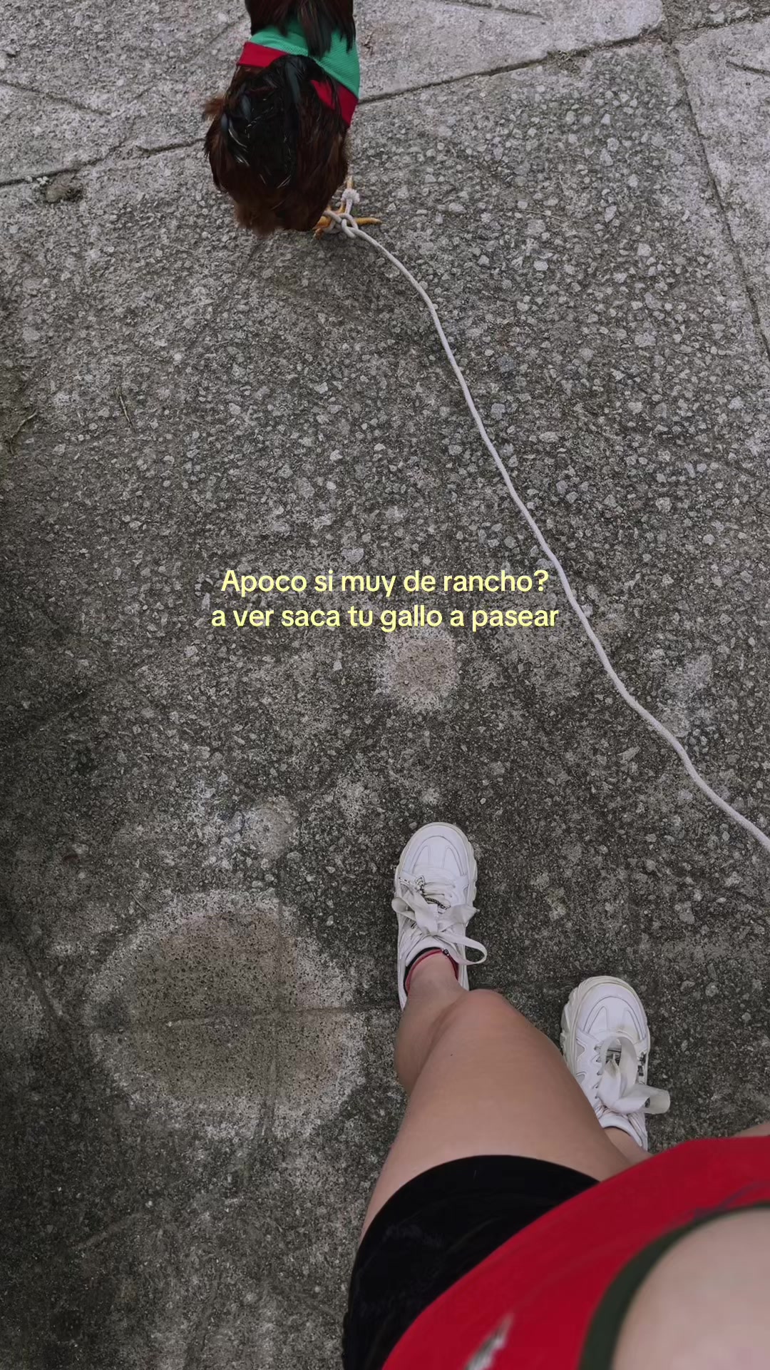 @Genesis Vargas