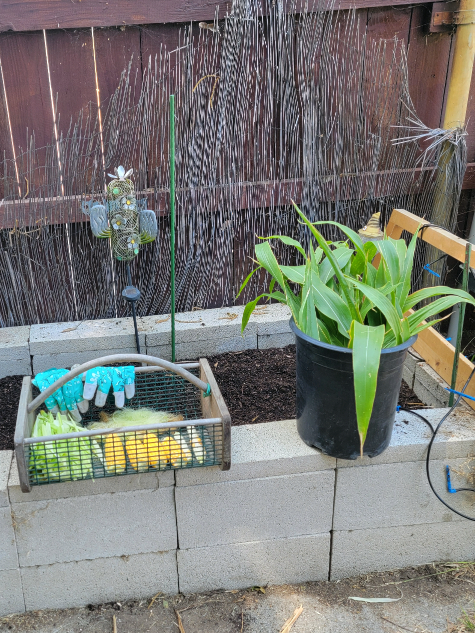 @Grateful_Gardening