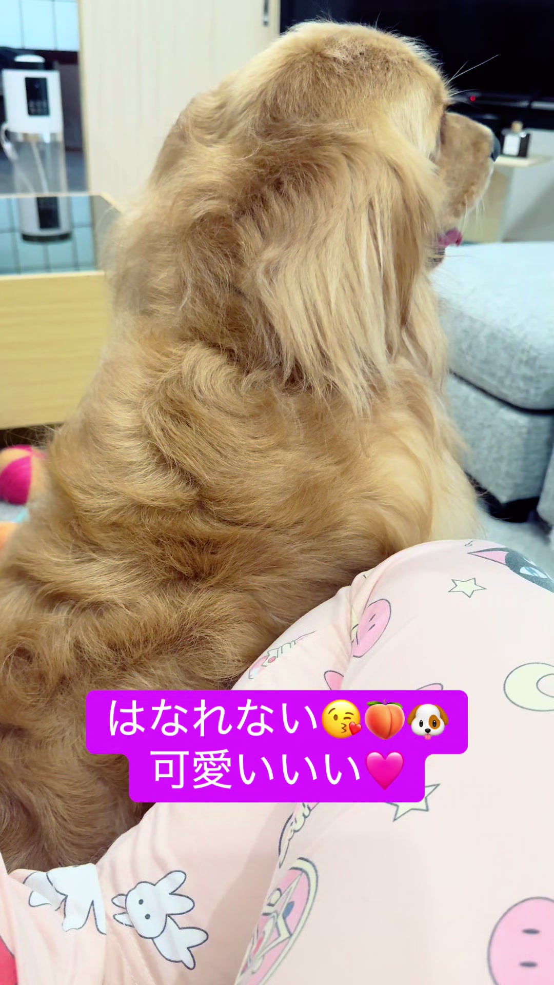 @ACIKA🇯🇵🇲🇨MOMO🍑🐶