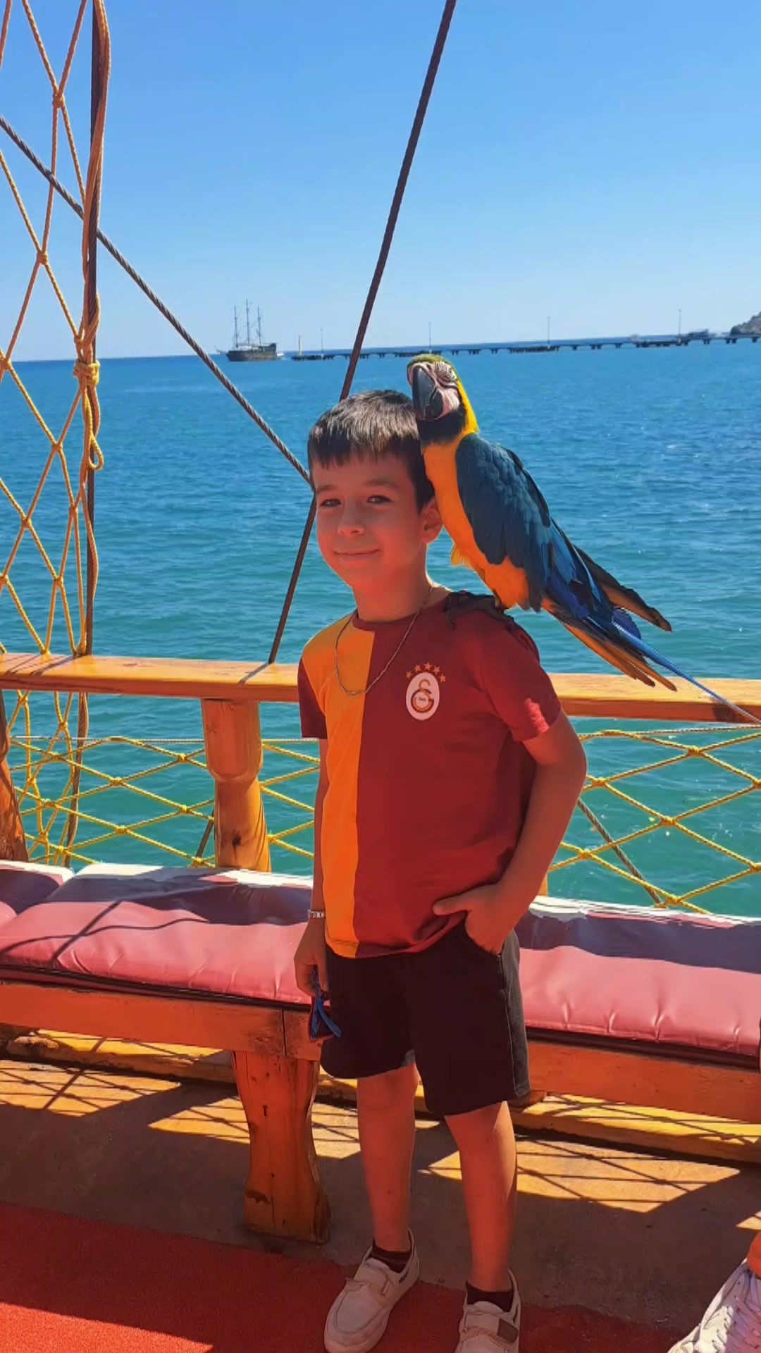 @Alicananşenel