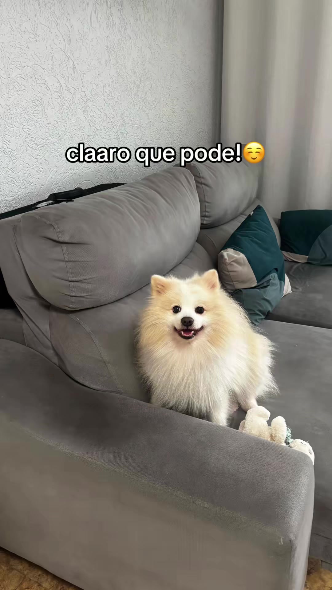@gigi