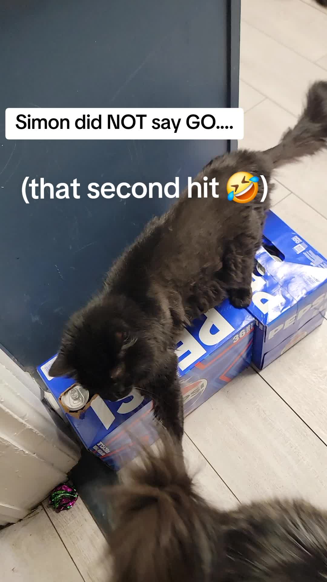 @CatCraze
