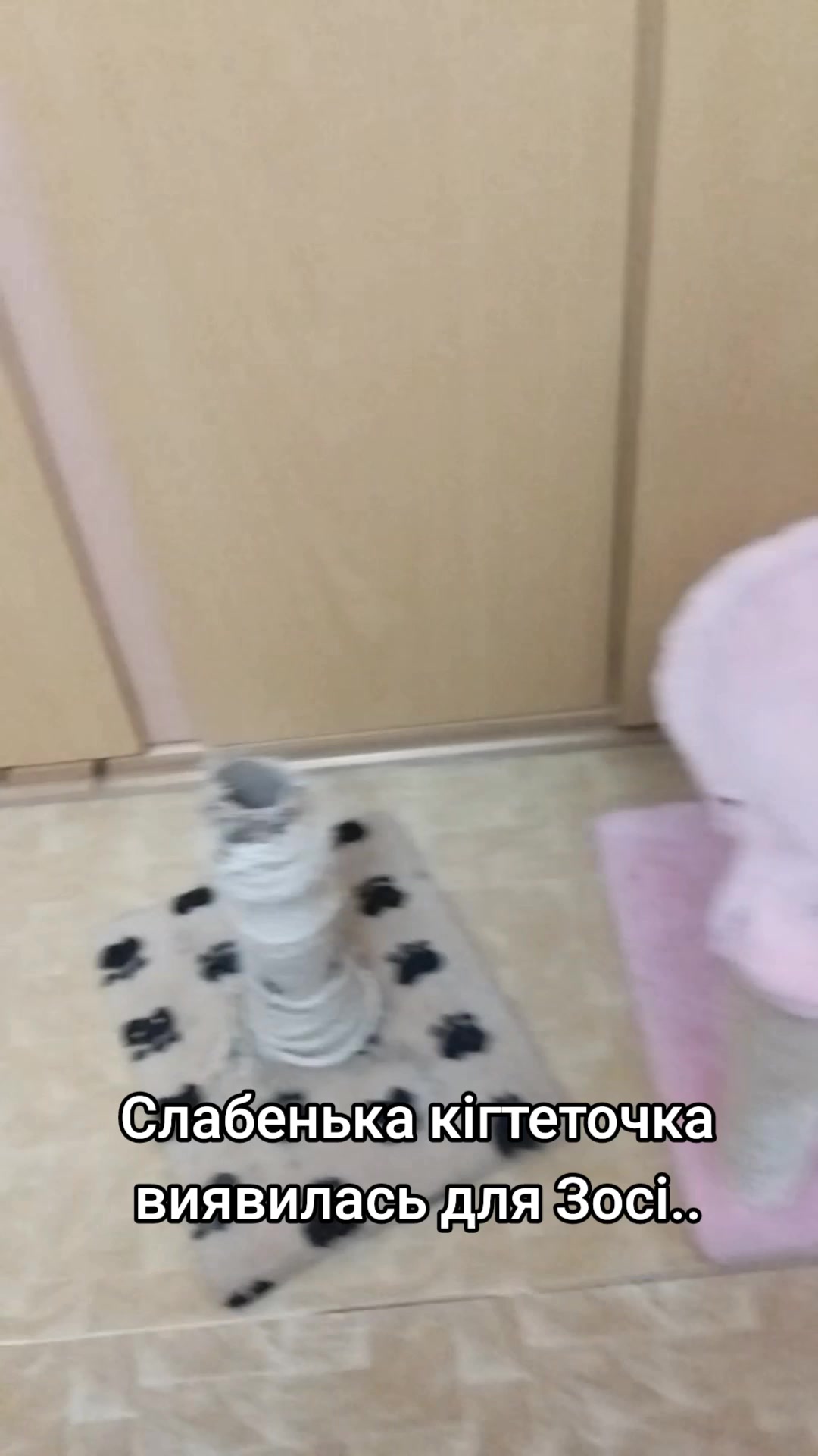 @_Alenk@_999