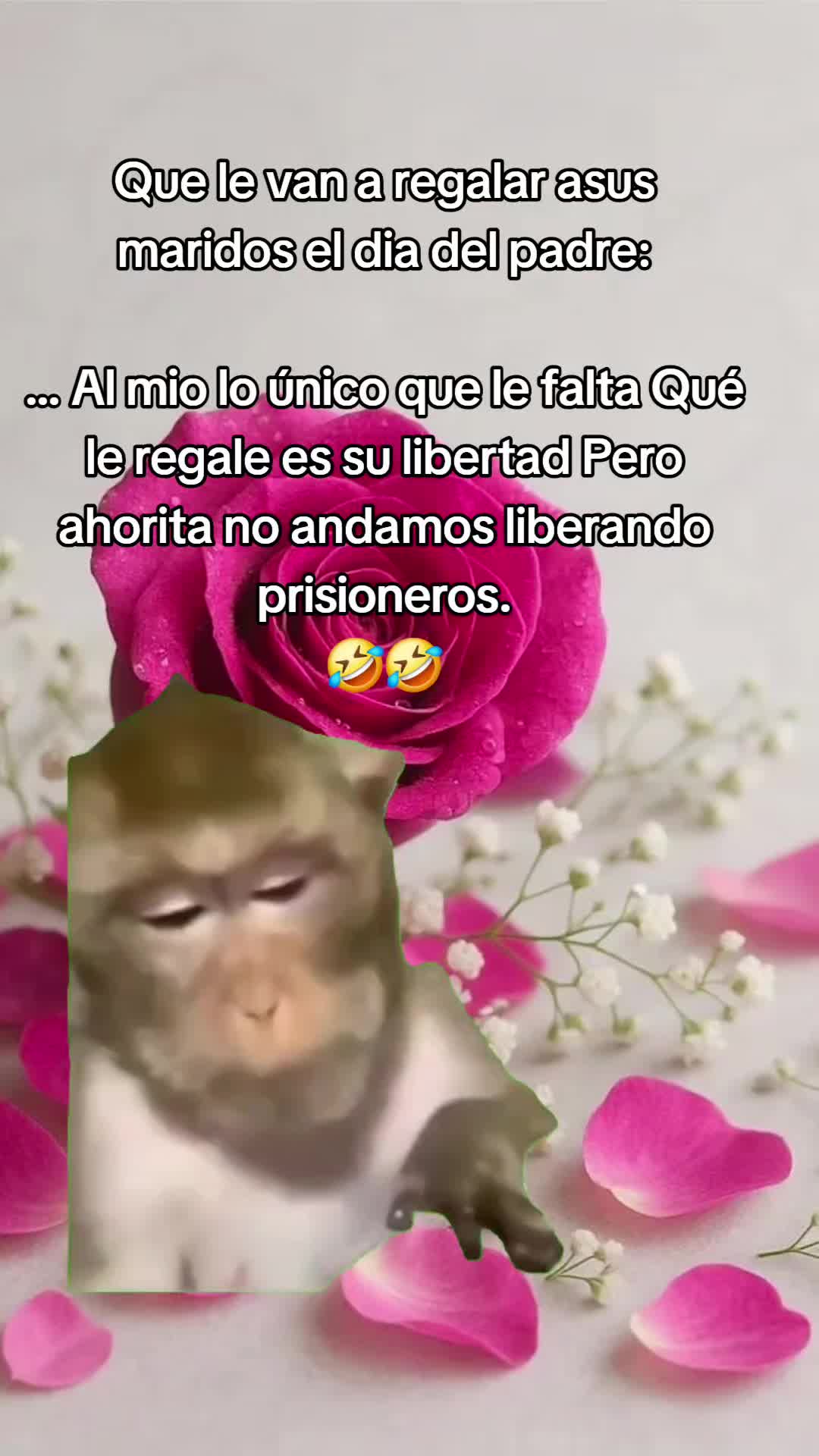 @ingridm