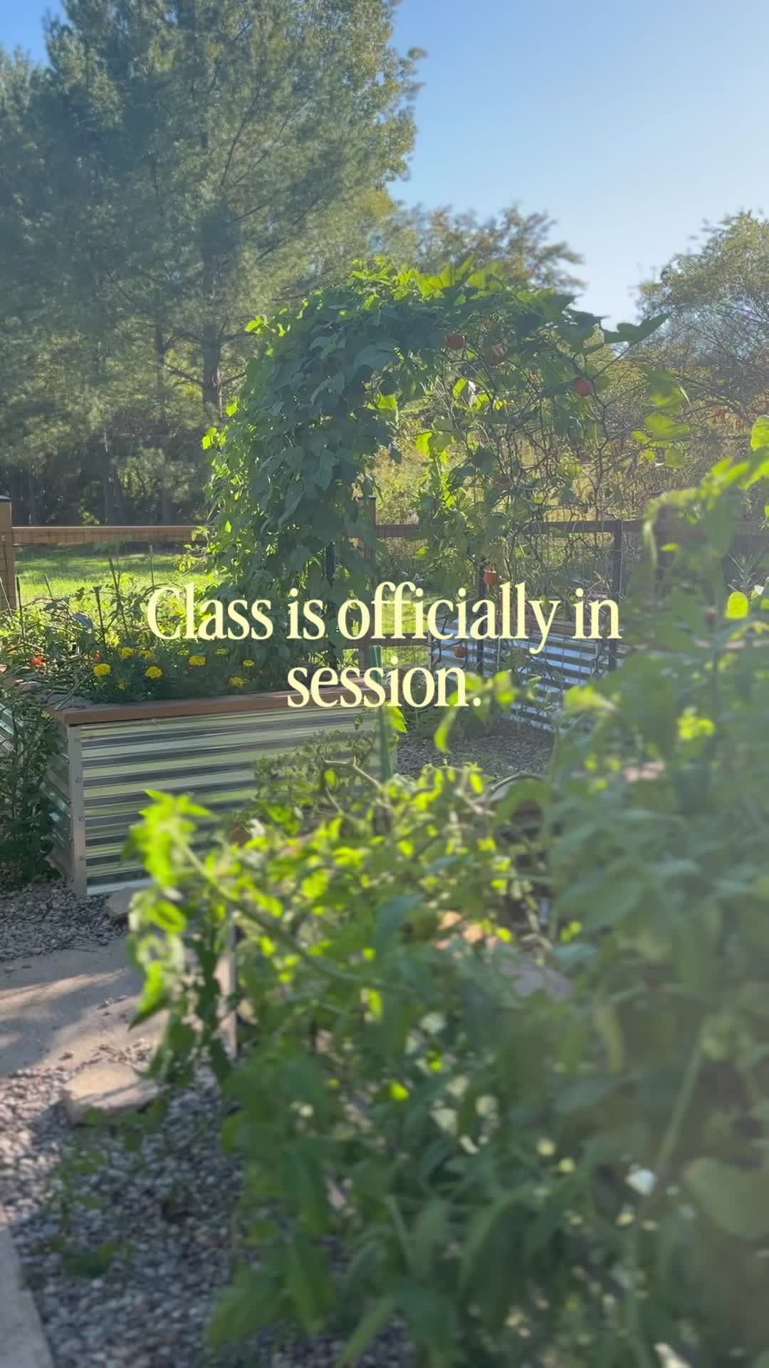 @Carli | Peace of Mind Garden