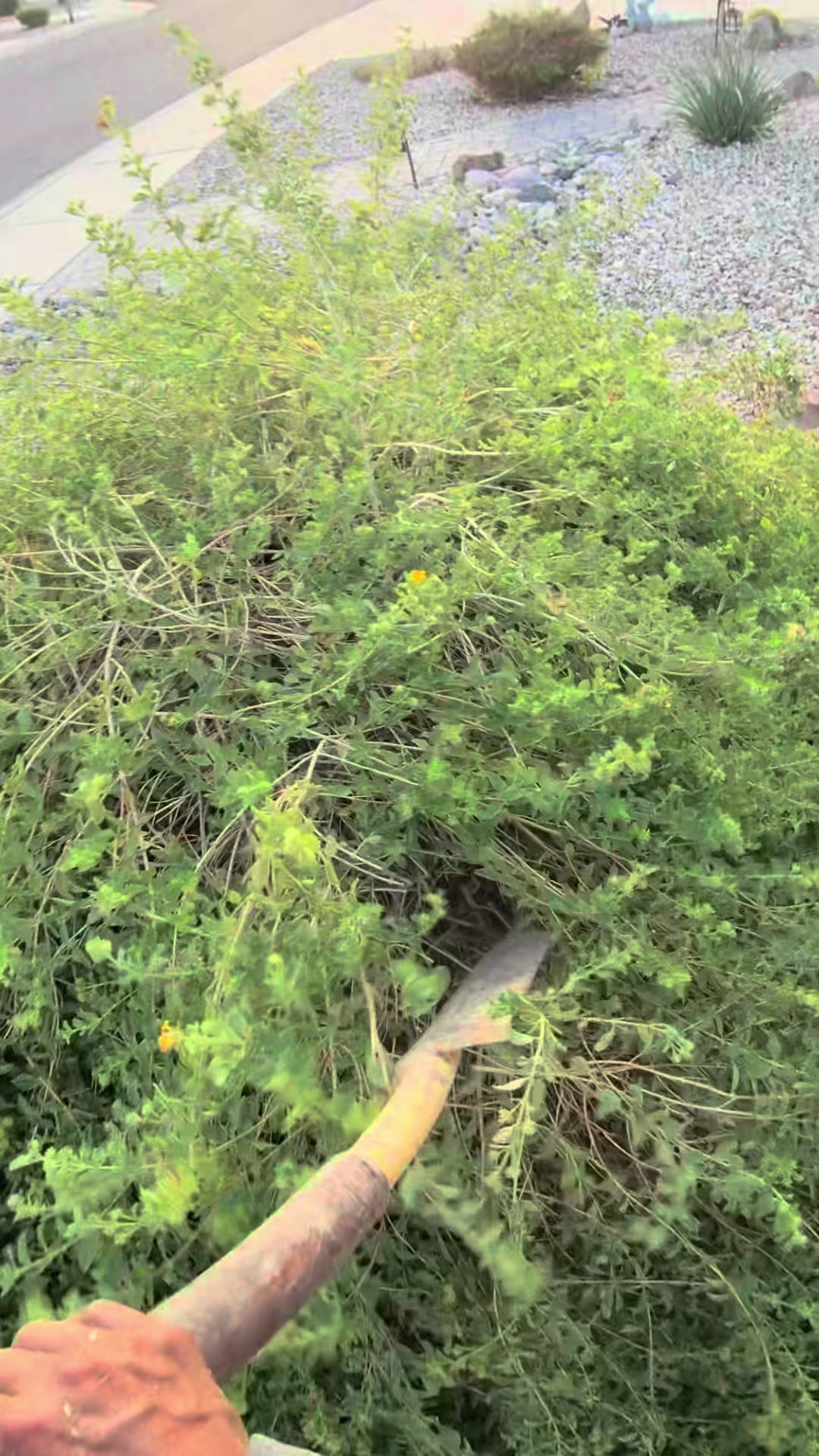 @landscaping