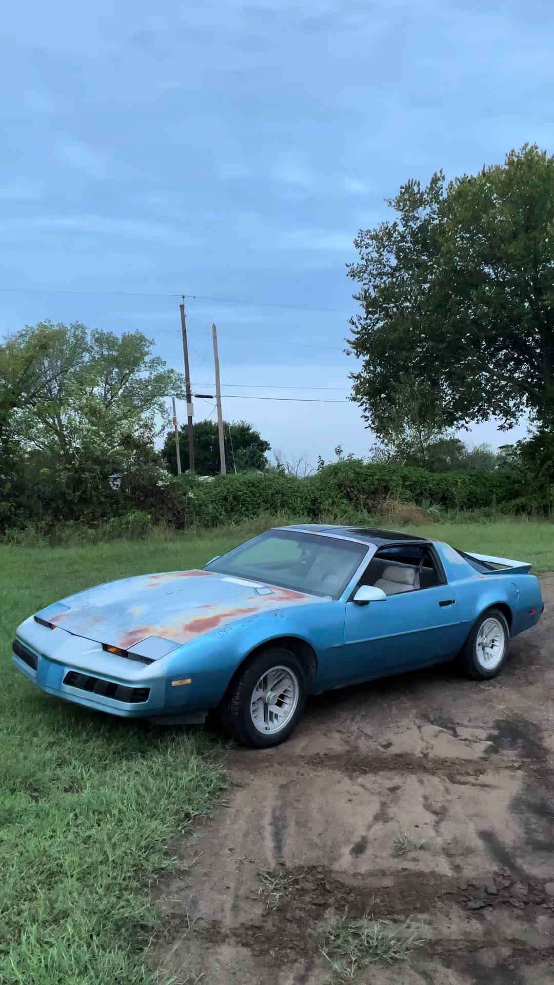 @August.Dodson