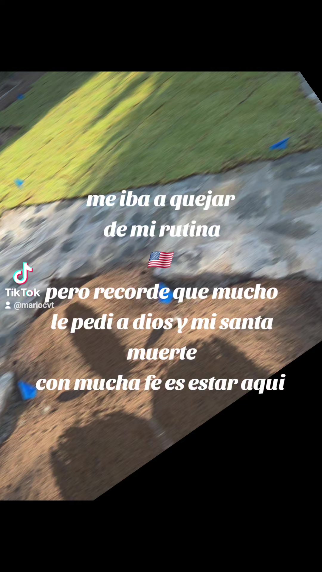 @Mario