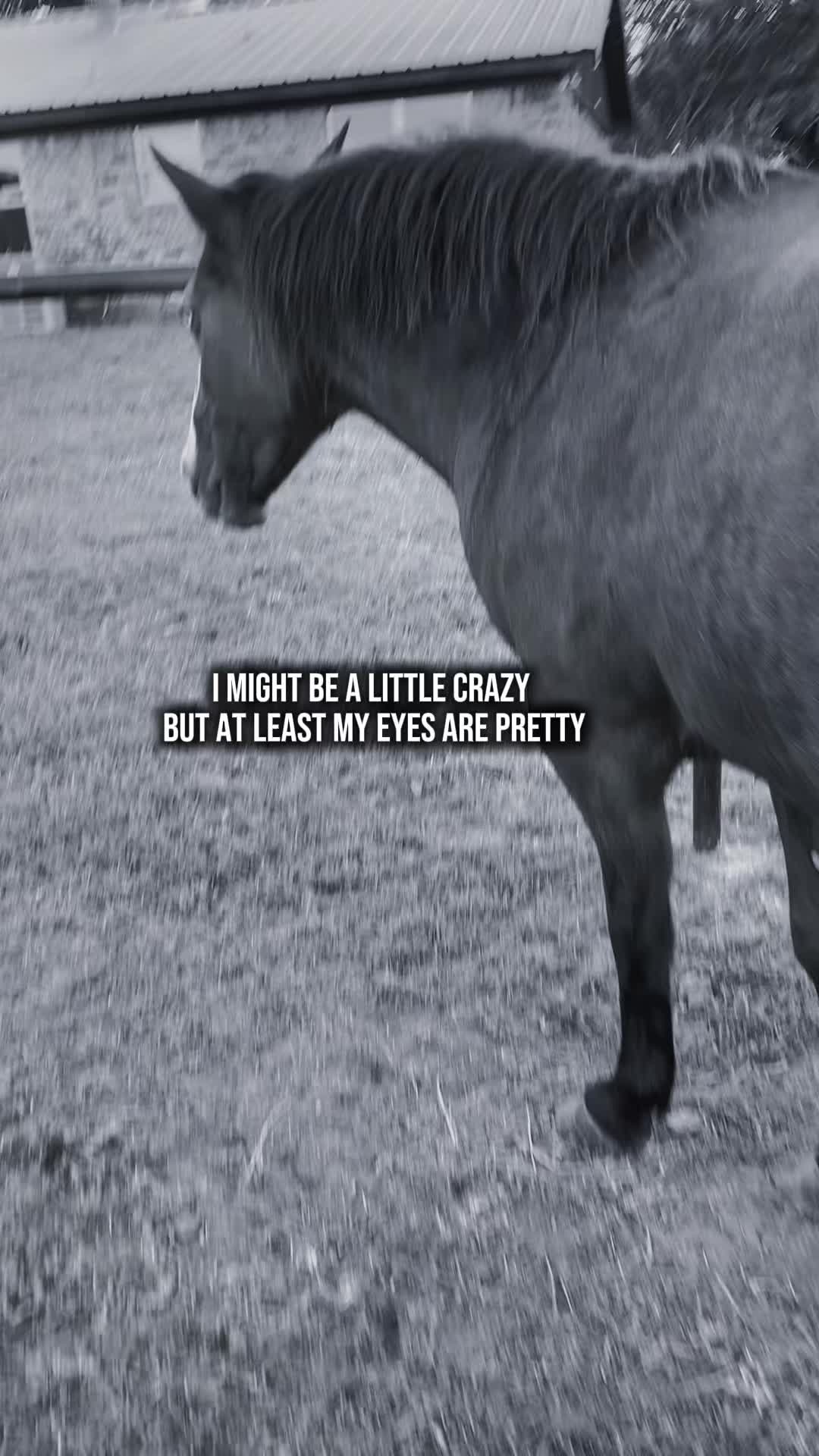 @EmoCowgirl777