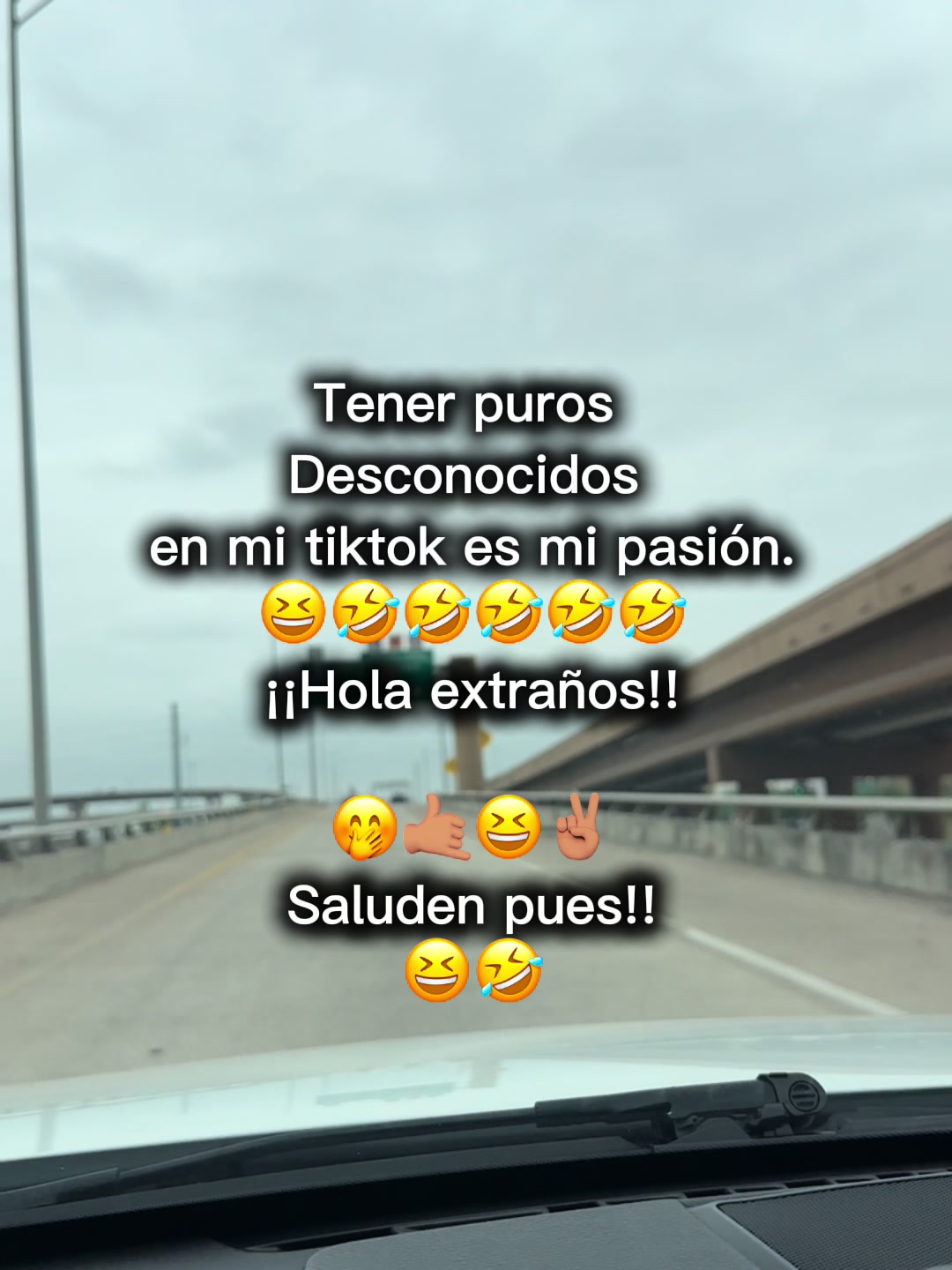 @Estela Martinez2512
