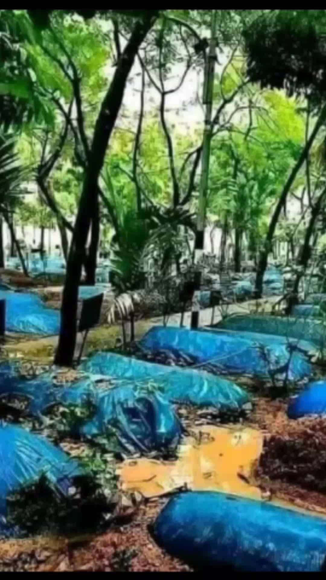 @সাগোর সাহেব।