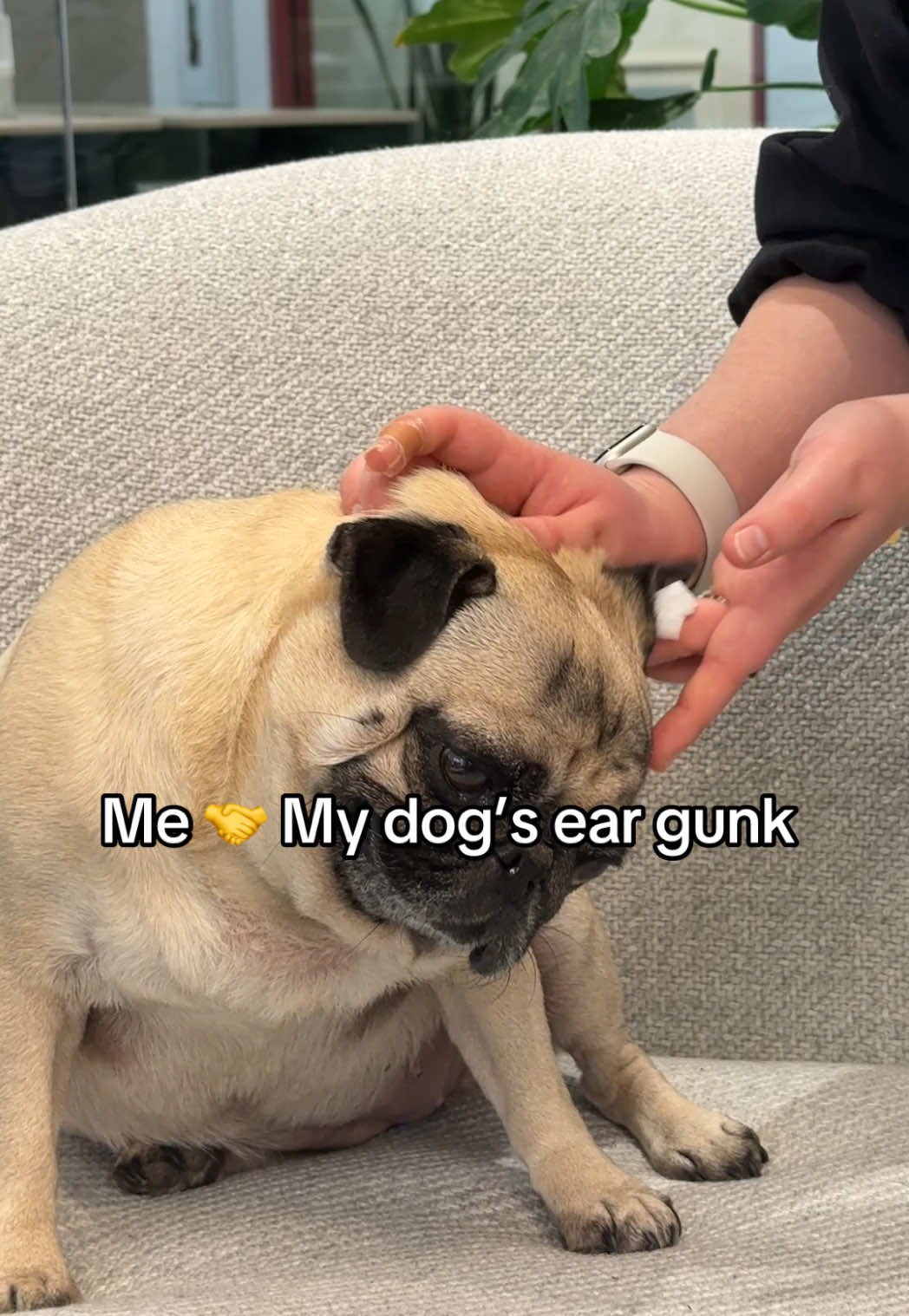 @earthrated
