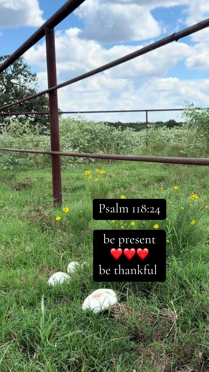 @Heather_plus_3