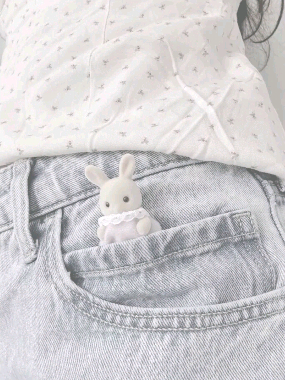 @ฅ^·ﻌ·^ฅ